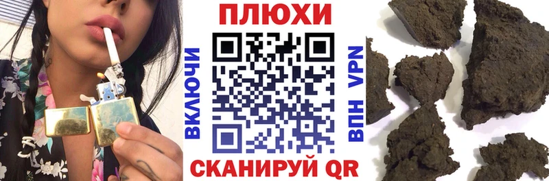 сколько стоит  Кашин  ГАШ Premium 