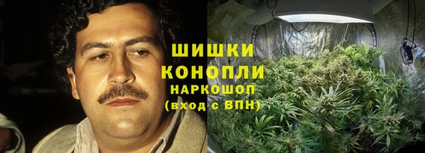 метадон Новодвинск