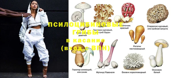 крисы Зеленокумск