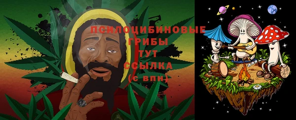 кристаллы Новозыбков